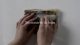 Libro - objeto