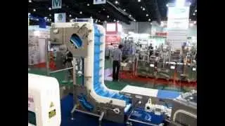 SHAPE EZ Kleen Hygienic Conveyor