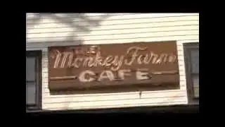 Monkey farm Cafe on CT Perspective TV