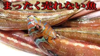 【絶品！？】市場で捨ててあった魚をもらって食べてみたら！！！