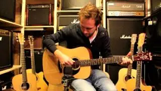 Blueridge BR40 - Arie Storm -  www.alphenaar.com
