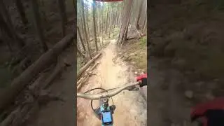 Fire 🔥 Break | Valemount Bike Park #mtb #mtbvlog #mountainbike #downhill #mtblife #mountainbiking