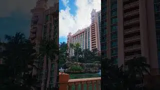 Atlantis Resort Nassau Bahamas #bahamas #atlantis #travel #adventure #fun #ocean