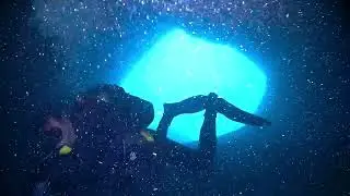 Buceo La Loberica en Reserva Marina Cabo Ti&ntilde;oso