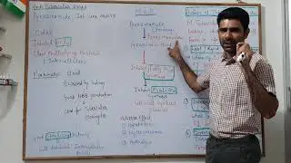 Part-4 Antitubercular Drug: Pyrazinamide