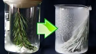Winter in the Glass! Christmassy Chemical Experiment!