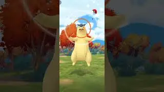 Wow! What a Surprise! A Wild Typhlosion! PokemonGo #pokemon #gbl  #pokemongo #pvp #pokemon