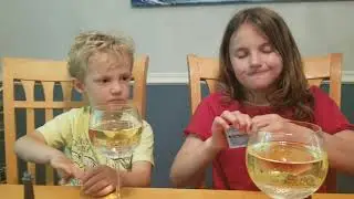 Colorful Bubbles!