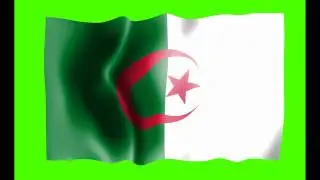 Algeria Flag Green Screen - Free Royalty Footage