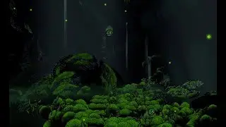 Silksong in first person