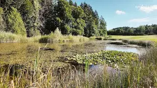 The Green Report | G&CC Zurich | The Importance of Ponds (Bonus Clip)
