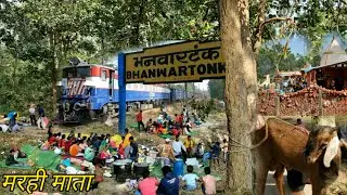 Marhi Mata Mandir - मरही माता(भनवारटंक) Pendra.Chhattisgarh.India