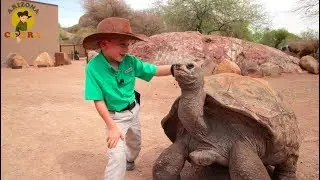 NEW Arizona Cobra Trailer to Season 1 - Official Launch on Saturday, June 2nd!