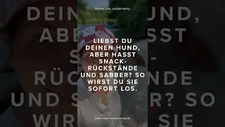 Alltag als mobile Hundetrainerin- du hasst die Snack- und Sabberr&uuml;ckst&auml;nde? Hier kommt die L&ouml;sung!🐾