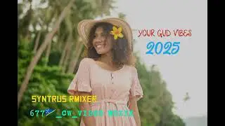 TENGO_UN_PLAN_(SYNTRUS REMIXER_)677🇸🇧_CW_VIBES_2025