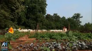 American Artifacts Preview: George Washington's Garden