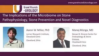 The Implications of the Microbiome on Stone Pathophysiology, Stone Prevention, and Novel Diagnostics