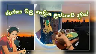 Jaffna වල ගෙවෙන ලස්සනම දවස් / university of Jaffna 🧑‍🎓☘️