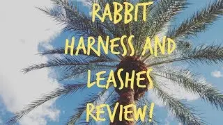 Rabbit Harness and Leashes Review!