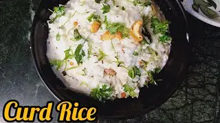 Curd Rice Recipe | South Indian Curd Rice | दही चावल | Thayir Sadam
