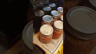 pressure canning minced beef. 12th August 2023.Day 12 of the #everybitcountschallenge
