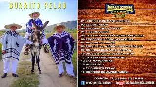 Trio Invazion Hidalguense - Burrito Pelao  (Disco Completo)