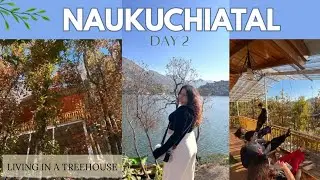 Hidden gems in Naukuchiatal | Air Bnb in Naukuchiatal | Treehouse near Naukuchiatal | Hanuman Mandir