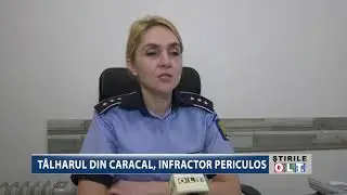 TALHARUL DIN CARACAL INFRACTOR PERICULOS 2511