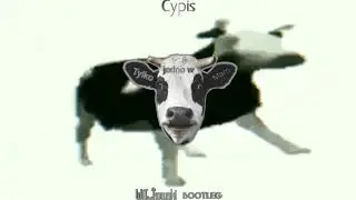 Cypis - Tylko jedno w głowie mam (WiT_kowski '4fun' remix).