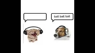 Travis Scott - 90210 sped up dog and cat meme ( ball ball ballin lin )