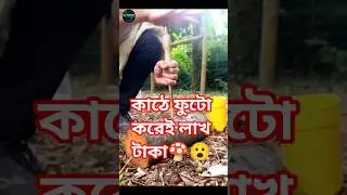 কাঠে ফুটো করেই লাখ টাকা! China&rsquo;s Secret Mushroom Farming Method 😳🍄 #shorts #bengalifacts #china