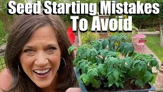 Avoid These 6 Spring Garden Mistakes When Starting Seeds Indoors