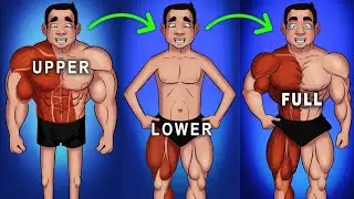 Daily Human Body Need 10 Essential Exercises 🔥