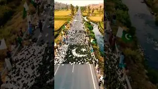 8000 Realistic Rabbits Form Pakistani Flag | 14 August Epic #pakistan #14august #ternding #foryou