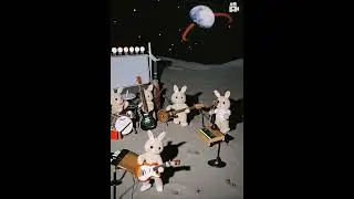 crazy Teddy Bear band 🎵🐻
