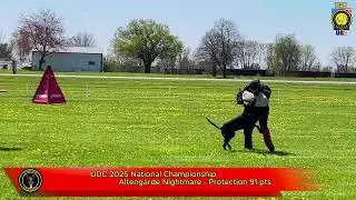 Altengarde Nightmare - UDC 2025 Protection 91 pts