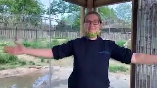 All Grades: Learning About the Zookeeper Profession