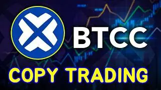 Учебное пособие по копитрейдингу BTCC + обновление таблицы лидеров