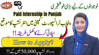 punjab transport company josb 2026 | paid internship in punjab transport company 2026 | govt jobs