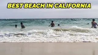 Best Beach In California  | Huntington Beach Hyatt Hotel | Vlog