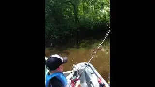 Wyatt catches first blackwater river bass