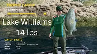 Fishing Sim World Pro Tour Lake Williams Bass Hotspot - A Big  Bass Highway