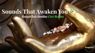 Sounds That Don&rsquo;t Just Heal &mdash; They Awaken You | Calming Indian Flute Meditation Music (Live Replay)