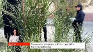 Measures are being taken in Kokand to stabilize the ecological balance