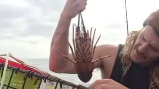 Ocean Kayak Fishing and Willife (LIVE)