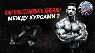 Восстановление либидо между курсами | Что действительно работает? 