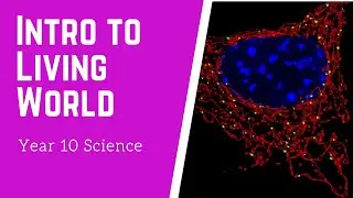 Intro To The Living World and Scheduling  | Year 10 Science Stream