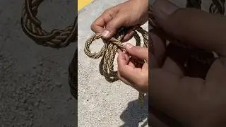 Millions of people around the world use this Great Knot💡