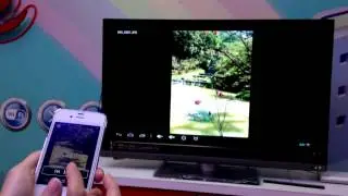 ChipSiP Technology NewtonTV Dongle