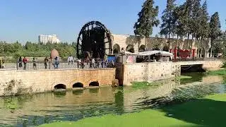 Hama, children jumping in Orontes river
